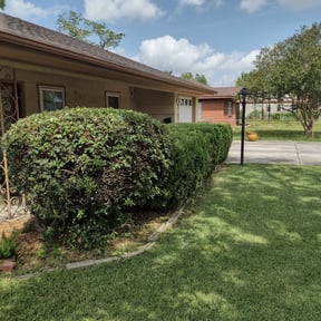 Bush Trimming by Dave's lawn care reviewed on August 20, 2025