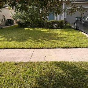 yard service by Michelangelo's reviewed on July 15, 2020