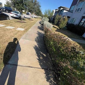 Bush Trimming by Uptown Elite Cleaning Property Services LLC reviewed on December 25, 2025