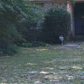 Bush Trimming by Scott Basinger lawn care reviewed on November 26, 2025