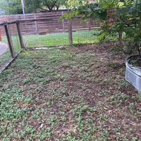Bush Trimming by G&G Services reviewed on August 20, 2025