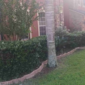 Bush Trimming by Jhon's Landscaping reviewed on August 19, 2025
