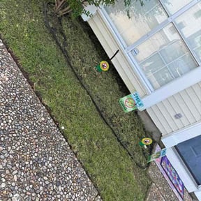 Flower Bed Weeding by cleans cutts 8 reviewed on April 6, 2026