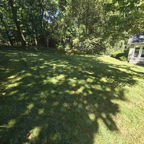 turf maintenance by Eco edging landscaping reviewed on April 12, 2024