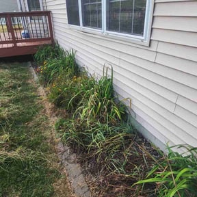 Flower Bed Weeding by Just Cuts Lawn Care reviewed on November 18, 2025