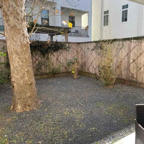 Leaf Removal by Constant Elevation reviewed on March 17, 2026