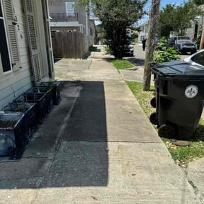 Bush Trimming by Handyman hollis lawn care reviewed on August 20, 2025