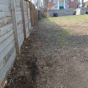 Leaf Removal by BBMP reviewed on September 25, 2025