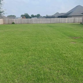 yard service by 4C's Lawn Care LLC reviewed on August 17, 2025
