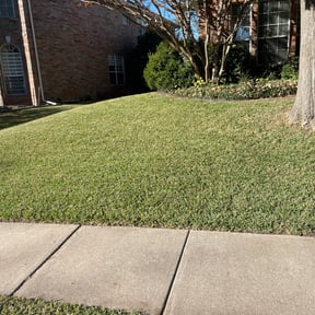 lawn care by All purpose landscaping LLC reviewed on April 30, 2025