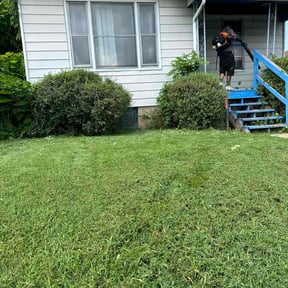 Bush Trimming by Sanders handyman services LLC reviewed on August 5, 2026