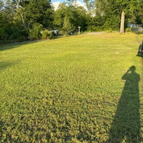 landscape maintenance by Gopher Lawn Landscape and Maintenance reviewed on August 15, 2025