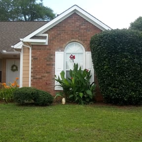 Bush Trimming by Clover construction LLC reviewed on August 18, 2025