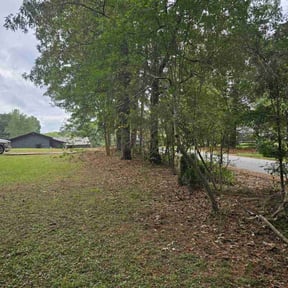 Bush Trimming by Florida LawnScapers LLC reviewed on August 19, 2025