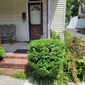 Bush Trimming by Pro grow landscapeing reviewed on August 15, 2025