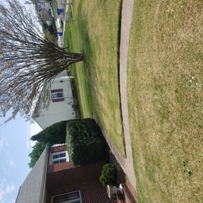Bush Trimming by RB Mowing reviewed on August 18, 2025