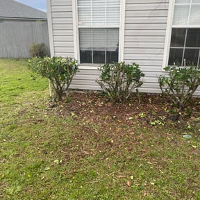 Bush Trimming by Done Right Lawn Service reviewed on August 18, 2025