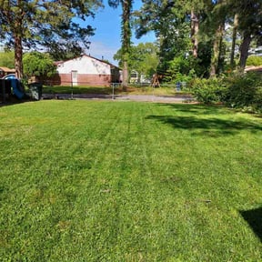 grass maintenance by RHJ LANDSCAPING LLC reviewed on June 10, 2025