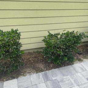 Flower Bed Weeding by Meridian Management Group LLC reviewed on December 19, 2025