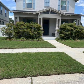 yard service by Color Wave Solutions LLC reviewed on August 17, 2025