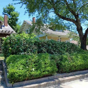 Bush Trimming by A-Z Land Care reviewed on June 14, 2026