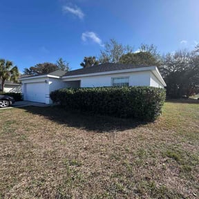 Bush Trimming by First Landscape reviewed on March 12, 2026