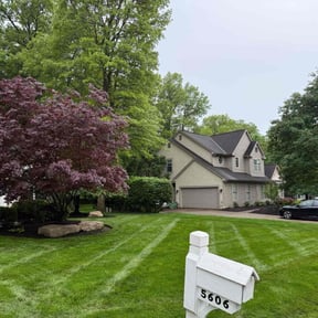 yard service by S&amp;M lawn and tree service llc reviewed on December 20, 2025