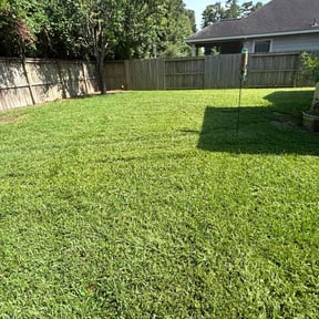 landscaping by Torres Lawn Care reviewed on May 24, 2024