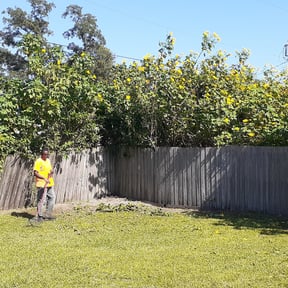 Bush Trimming by Perfectionist Landscape reviewed on August 21, 2025