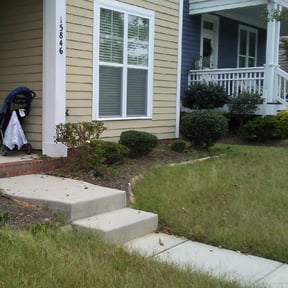 Bush Trimming by D&D lawncare and maintenance reviewed on August 18, 2025