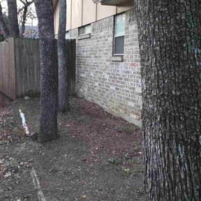 Leaf Removal by ABDIELLANDSCAPING reviewed on April 19, 2026