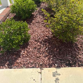 Flower Bed Weeding by Kareem Diamond Lawn Care  Service reviewed on September 2, 2026