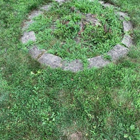 Flower Bed Weeding by BBCNP Services reviewed on August 19, 2025