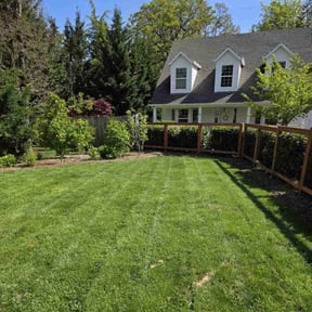 yard care by Blue Diamond Cleaning Services reviewed on August 15, 2025