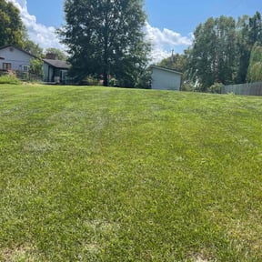 landscaping by Browns Lawn Care &amp; Landscape reviewed on November 21, 2025