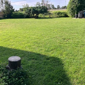 lawn service by O'Shields Parks Mowing and Cleaning reviewed on May 17, 2025