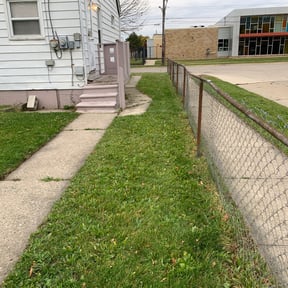 Leaf Removal by Lawn Sharks reviewed on September 21, 2025