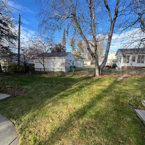 Leaf Removal by Tony&#039;s Lawn Care and Landscaping reviewed on November 20, 2025