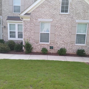 Bush Trimming by Rubber city property maintenance reviewed on August 20, 2025