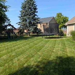 landscaping by Krispy Kutz Landscaping & More reviewed on August 15, 2025
