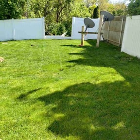 yard maintenance by Bosco Properties LLC reviewed on August 16, 2025