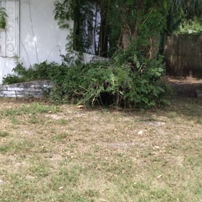 Bush Trimming by Green Guy Landscaping LLC reviewed on August 18, 2025