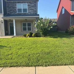 landscaping by Cleancut Landscaping reviewed on October 19, 2025