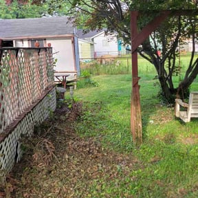 Bush Trimming by Jax Z Landscaping LLC reviewed on August 15, 2025