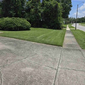 lawn care services by The Spruced Goose Helper Services reviewed on August 20, 2025