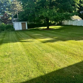 landscaping services by FLA Mowers LLC reviewed on August 19, 2025