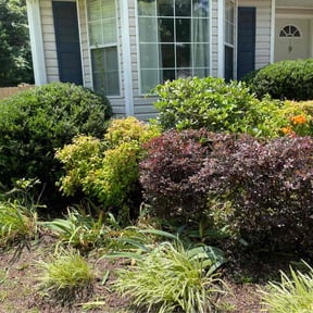 Bush Trimming by Three E's Lawn Care LLC. reviewed on August 16, 2025