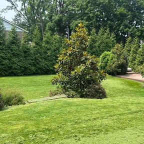landscaping by Fiechtner Landscape Services reviewed on August 19, 2025