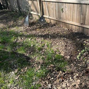 Leaf Removal by Hunter’s Lawn Care! reviewed on April 13, 2026