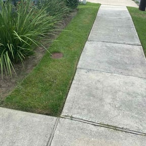 Bush Trimming by AC LAWNCARE reviewed on August 16, 2025